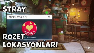 Stray - Rozet Lokasyonları
