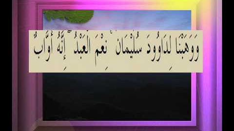 القرآن الكريم سورة ص الأية 30
