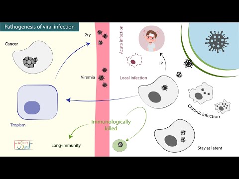 Pathogenesis of viral infection