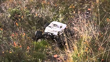 hbxhpikyosho - November Bash!