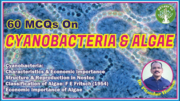 BOTANY 4U | RTMNU B. SC. SEM-I BOTANY-I UNIT-II | PITAMBAR HUMANE | MCQs on Cyanobacteria & Algae