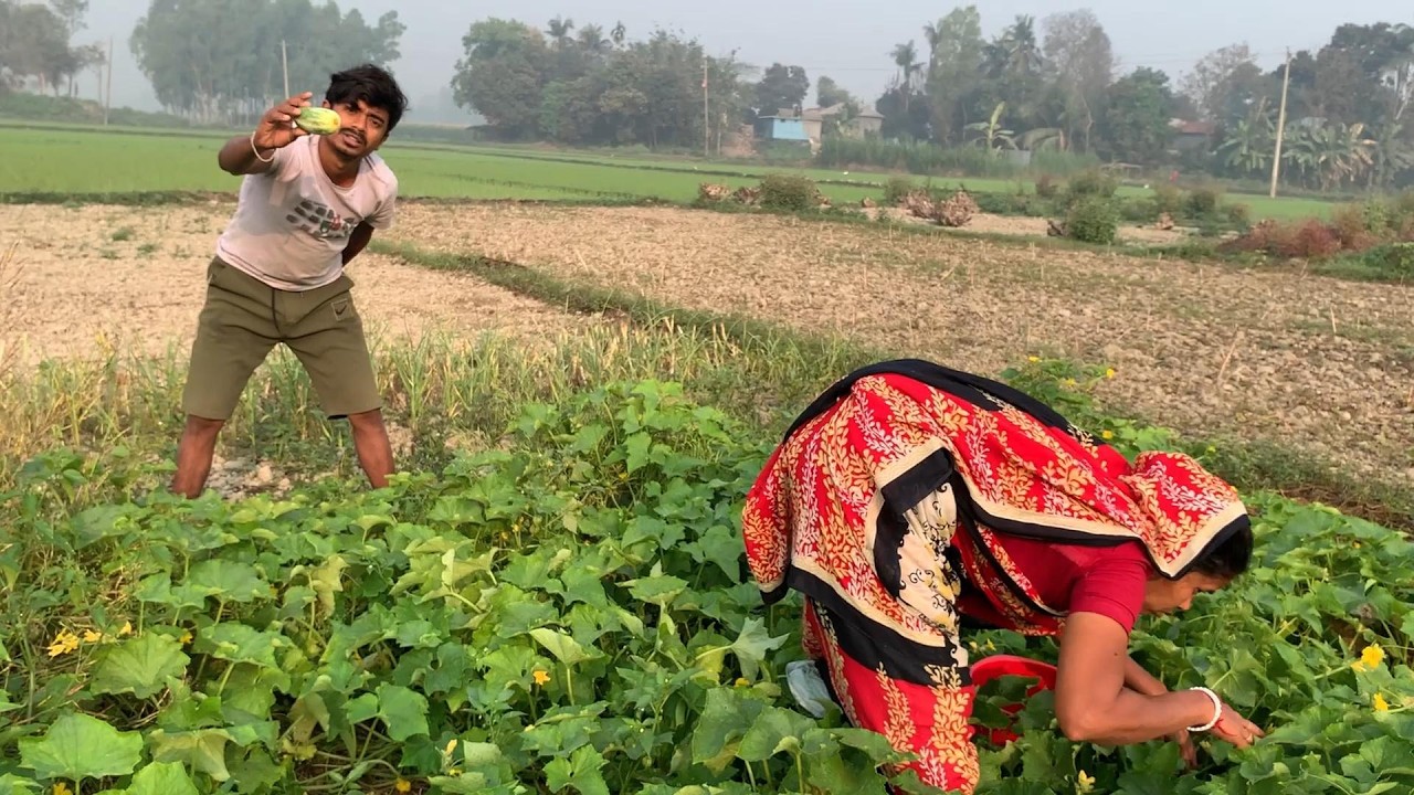 সবজি বিক্রি করবো না শুধু খাবো 😍 simple village vlog