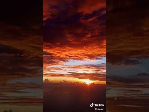 ما شاء الله حان وقت صلاة الفجر هيا صلي و لا تلتهي بالدنيا و حماقاتها