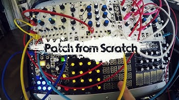 Patch from Scratch - Make Noise Dynamix Amplitude Modulation (no talking)