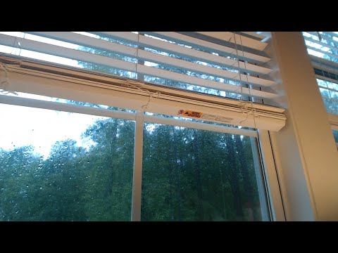 Hurricane Florence Live - Clayton, NC Webcam