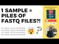 NGS Data 101: FASTQ Files, Library Preparation, and Lane Multiplexing