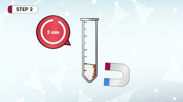 How to isolate exosomes using ExoCAS-2 Kit (HIGH PURITY)