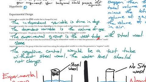 Lab Report Hypothesis and Experimental Design