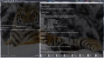 ArcoLinux : 421 how to keep transparency working with pywal