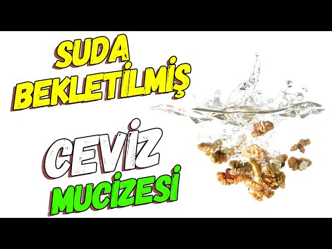 Suda Bekletilen Cevizin Faydaları