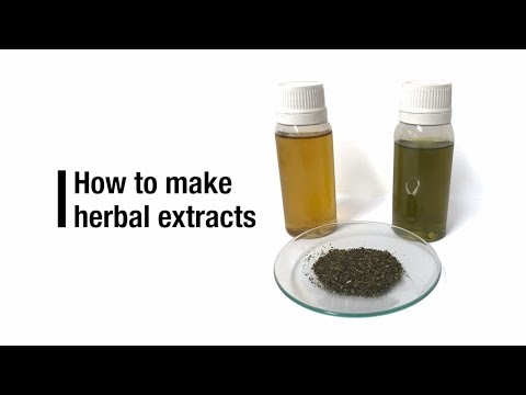 Video: A Series - Useful Properties, The Use Of Extract And Oil