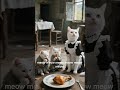 Garib vs Rich Cat! 😹 Maid MIA vs Queen KITTY | Funny AI Cat Life#ai#cat#shorts