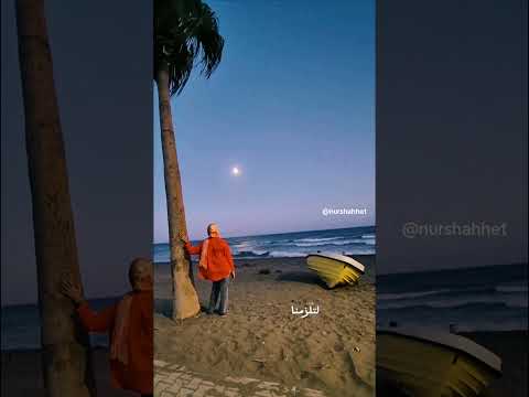 تأثير الظروف على اتخاذ القرارات اختيار المختار اقتباس من رواية عاشت حلب نور شحط