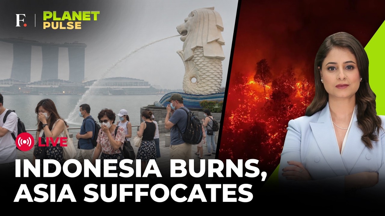 LIVE: Indonesia Wildfires: Haze Crisis Spills Into Malaysia, Singapore & Philippines | Planet Pulse thumbnail