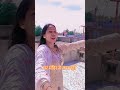 घर मंदिर से कम नहीं #bhakti #rajasthani #love #trending #shorts