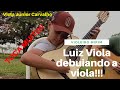 Luiz Viola DEBUIANDO A VIOLA | Seleção de Pagodes | viola Júnior Carvalho