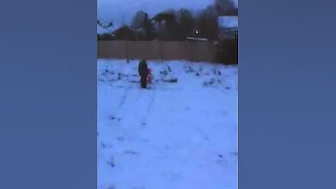 Ann's sledge
