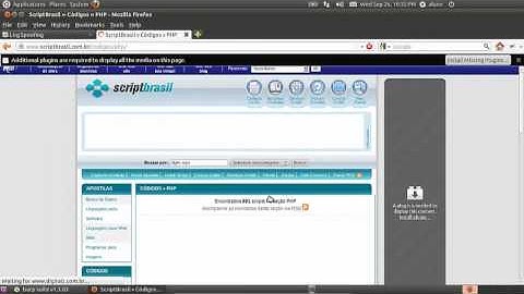 Injection Flaws   Log Spoofing