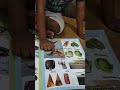 Kg1- Sound Reading Kk(क) Family Words...क क as in☺️☺️