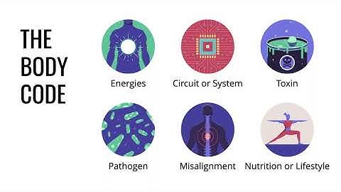 What the Body Code is About