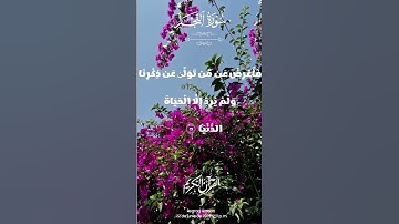 🌺القرآن الكريم 🌺ما تيسر من سورة النجم▪︎