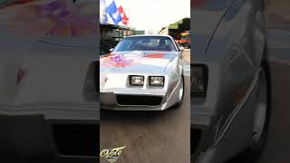 1979 Pontiac Firebird Trans Am V21431