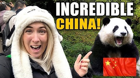 We Met China’s MOST FAMOUS Panda in Chengdu 🇨🇳 中国最爆红的熊猫