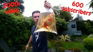 200th VIDEO 600SUBS SPECIAL, Megs First Pet, Reptile Delivery, 3Fish Rescues(Snake Island Exotics)