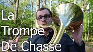 La Trompe de Chasse  Fanfares & Conseils du Champion International Guyaume Vollet  Chasse HD