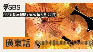 SBS九點半新聞 (2026 年 5 月 22 日) | SBS Cantonese - SBS廣東話節目