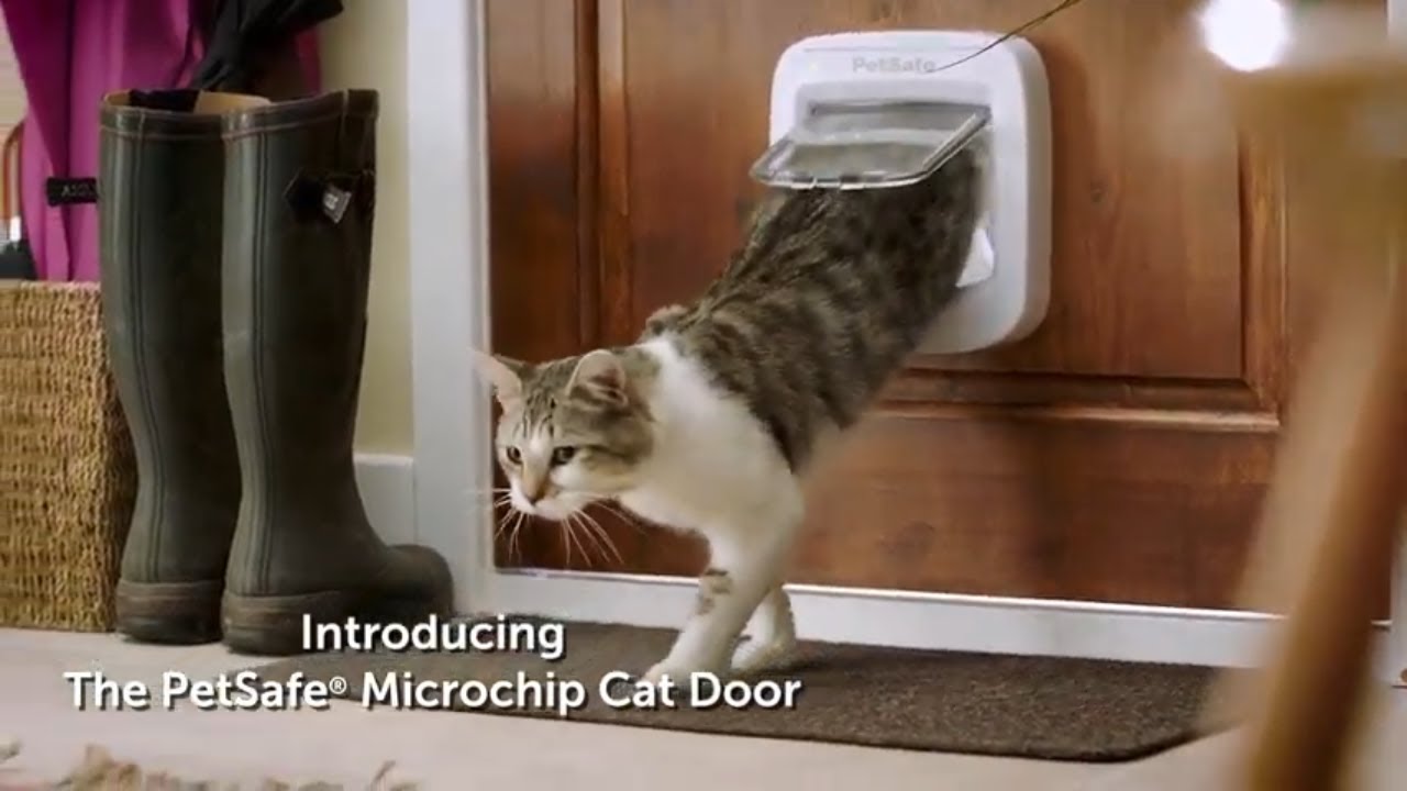  PetSafe Puerta de gato interior y exterior - Puerta de mascotas  Microchip RFID - Bloqueo de 4 vías: trabaja con hasta 40 mascotas  programadas : Wu Chengen, Wu Chengen, Wu Chengen: Productos para Animales