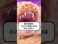 Q:猫の前歯が小さくて可愛いのは何で? #猫 #猫のいる生活 #ねこ