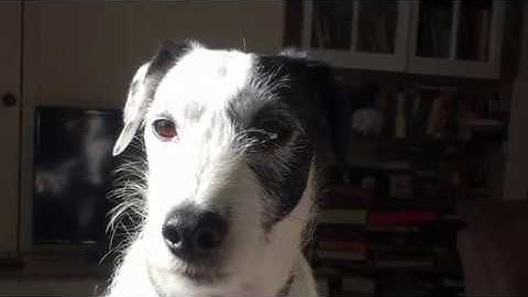 Background Magic Art class trailer