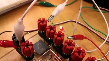 EECS 1021 Lab 1 Two LEDs Blinking