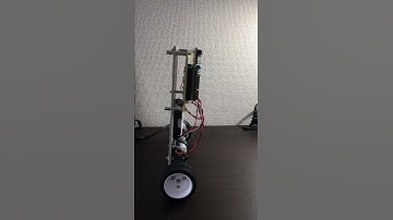 Inverted Pendulum Robot 1