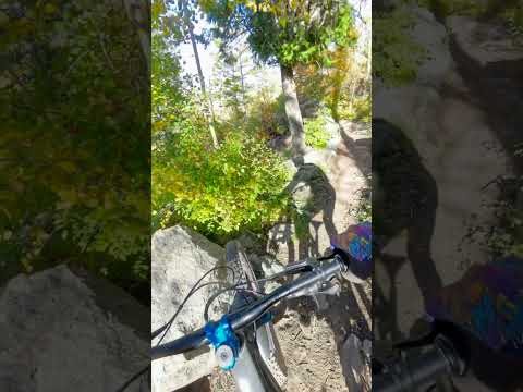 These switchbacks are CRAZY!  My bars moved! #mtb