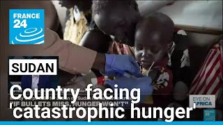 Sudan: ‘Mothers are unable to feed children amid catastrophic hunger’ • FRANCE 24 English News
