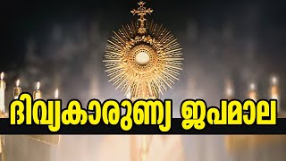 Eucharistic Rosary I ദിവ്യകാരുണ്യ ജപമാല | Sunday Shalom | Ave Maria screenshot 2