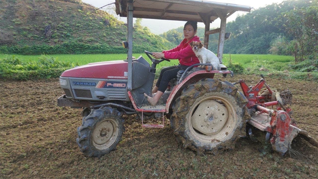 Agricultural vehicle / Yanmar machine working farm on the mountain / Tractor repair