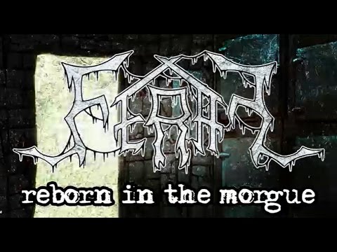 Reborn in the Morgue