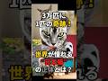 3万匹に1匹の奇跡！世界が憧れる“日本猫”の正体とは？