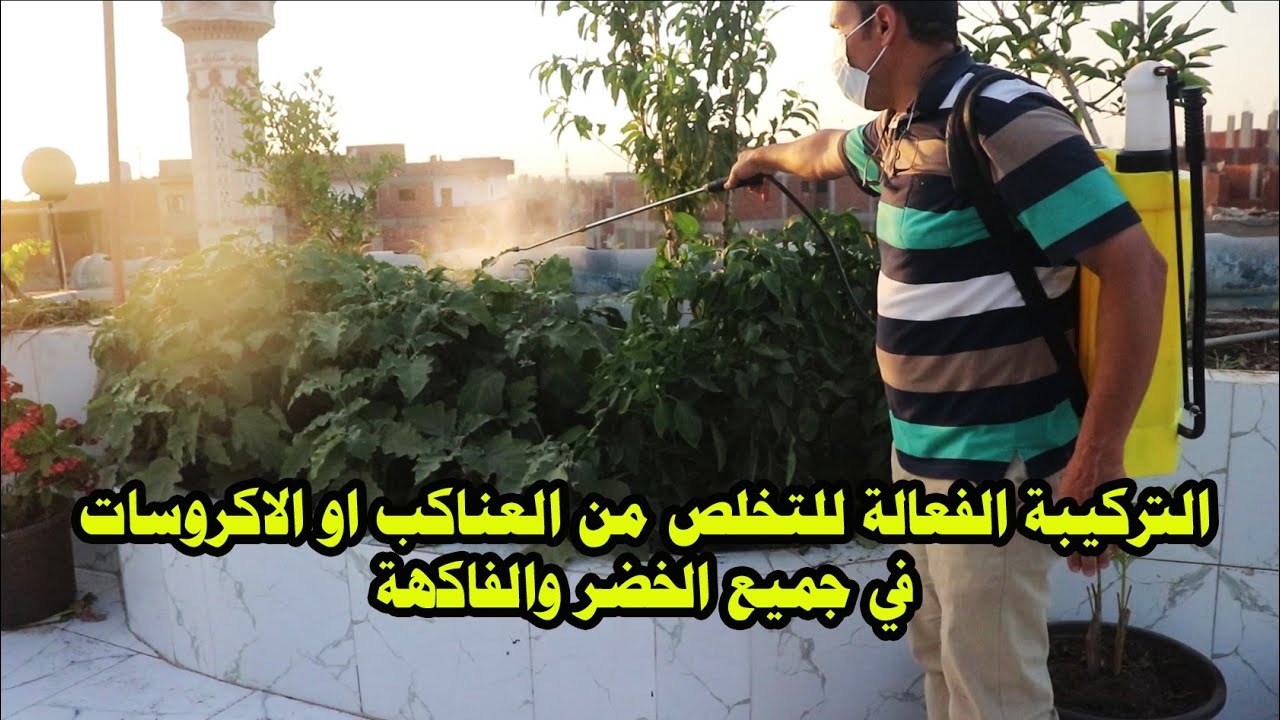 اسماء المبيدات  الفعالة لمقاومة الأكروسات والعناكب والقضاء عليها وكيفية خلط  واختيار المبيدات للرش