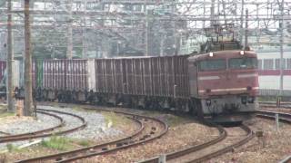 2009.6.13 東海道本線4092レ EF81 2 岸辺