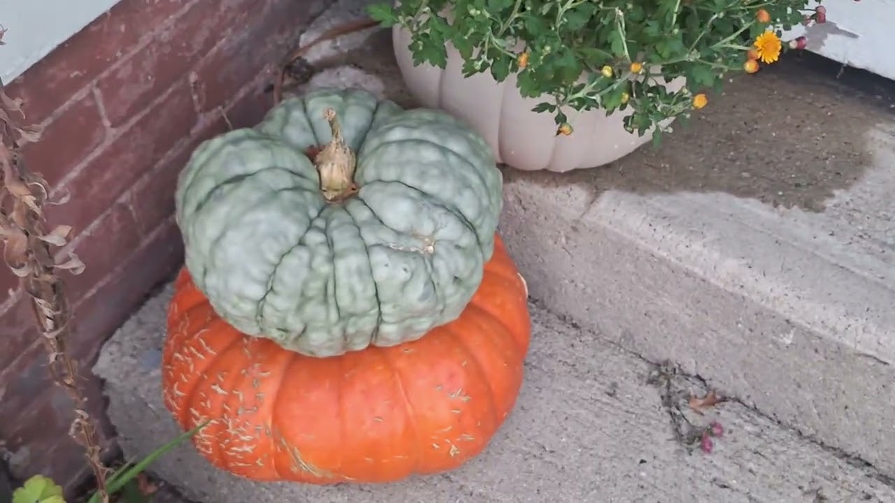 9/22/25. Before and after an extreme garden clean up, BUT...
