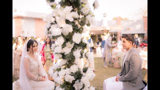 Zoha & Sheru | An Intimate Nikkah Cinematic Highlights Video | Talha Azhar Photoworks