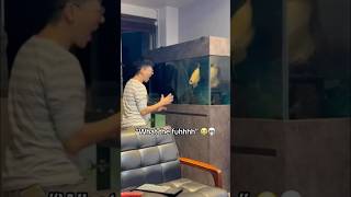 Fish  Fish  Fish  fish funny animals cutecat foryou