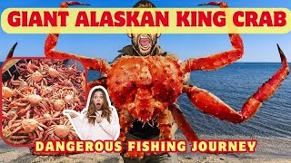 King crabs are delicious and expensive, but do you know how they are caught? Giant Alaskan crabs