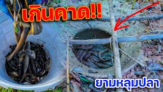 Beyond Expectations!! Checking the Fish Pit, Hit the Jackpot with a Full Bucket
