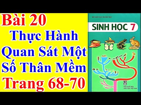 Video Sinh Học Lớp 7 Bài 20 - Thực Hành Quan Sát Một Số Thân... - YouTube