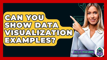 Can You Show Data Visualization Examples? - Next LVL Programming